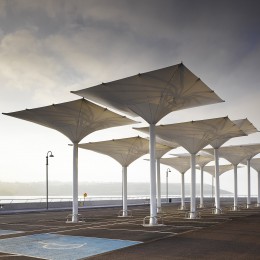 View of umbrellas at morning time