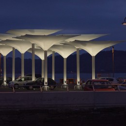 View of umbrellas at dusk